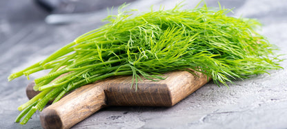 Dill