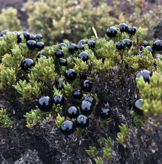 Kukaenene