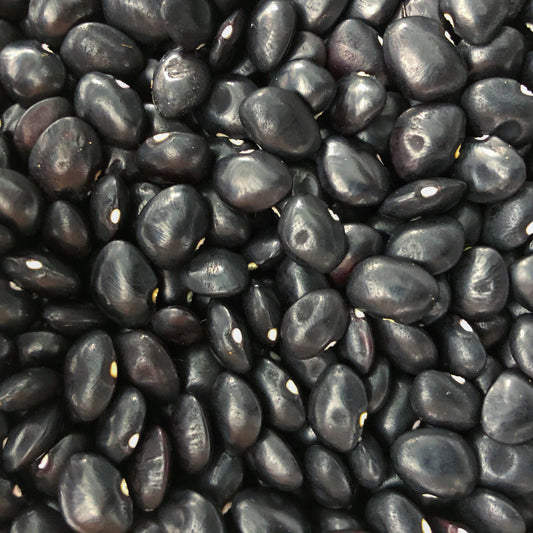 Kamanā Butter Bean