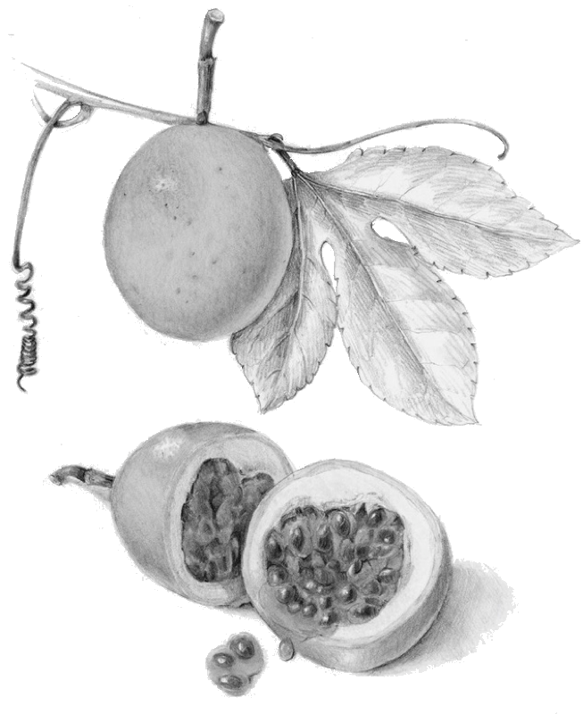 Liliko'i