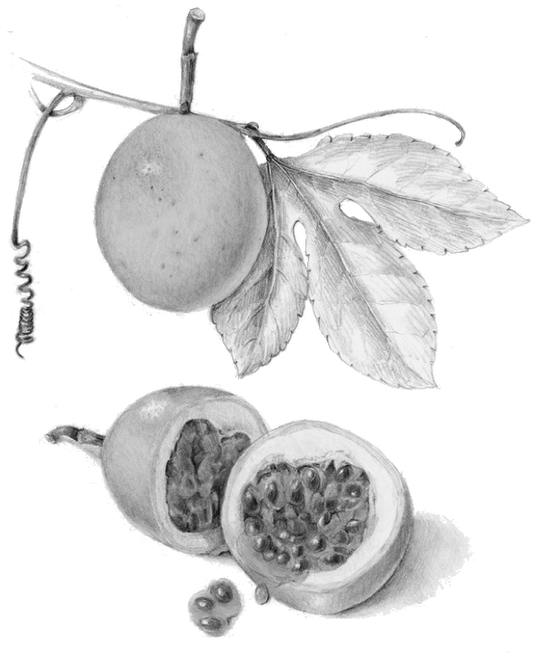 Liliko'i